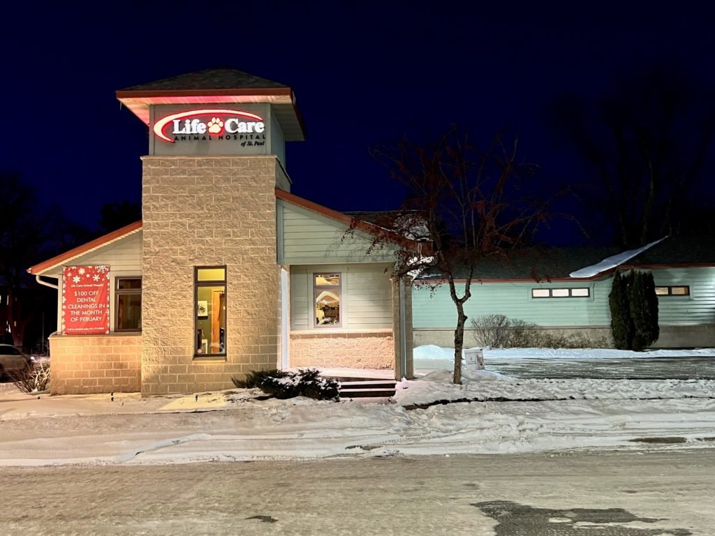 Life Care Animal Hospital Exterior Night
