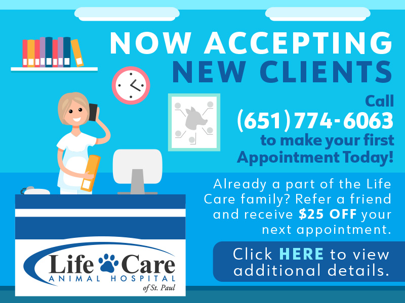 Life Care Animal Hospital Now Accepting New Clients