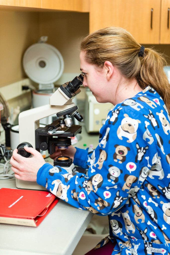In-House Veterinary Laboratory Service Photo In-House Veterinary Laboratory Service Photo